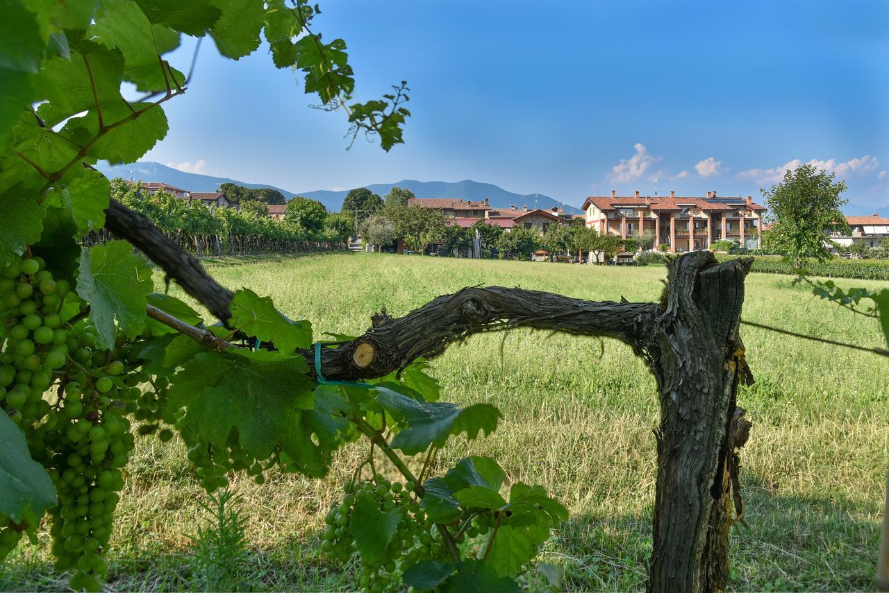 La Terrazza Sulle Vigne B&B Corte Franca Dış mekan fotoğraf